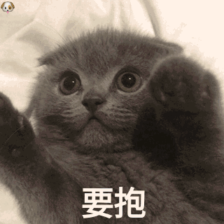我能怎么办,我也很无辜啊,快点儿抱抱我.